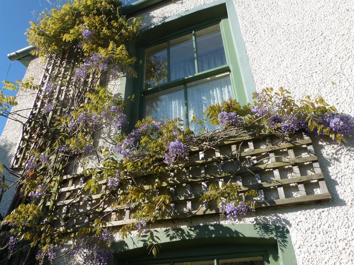 Pomona Bed and Breakfast Lowick Green Exteriör bild